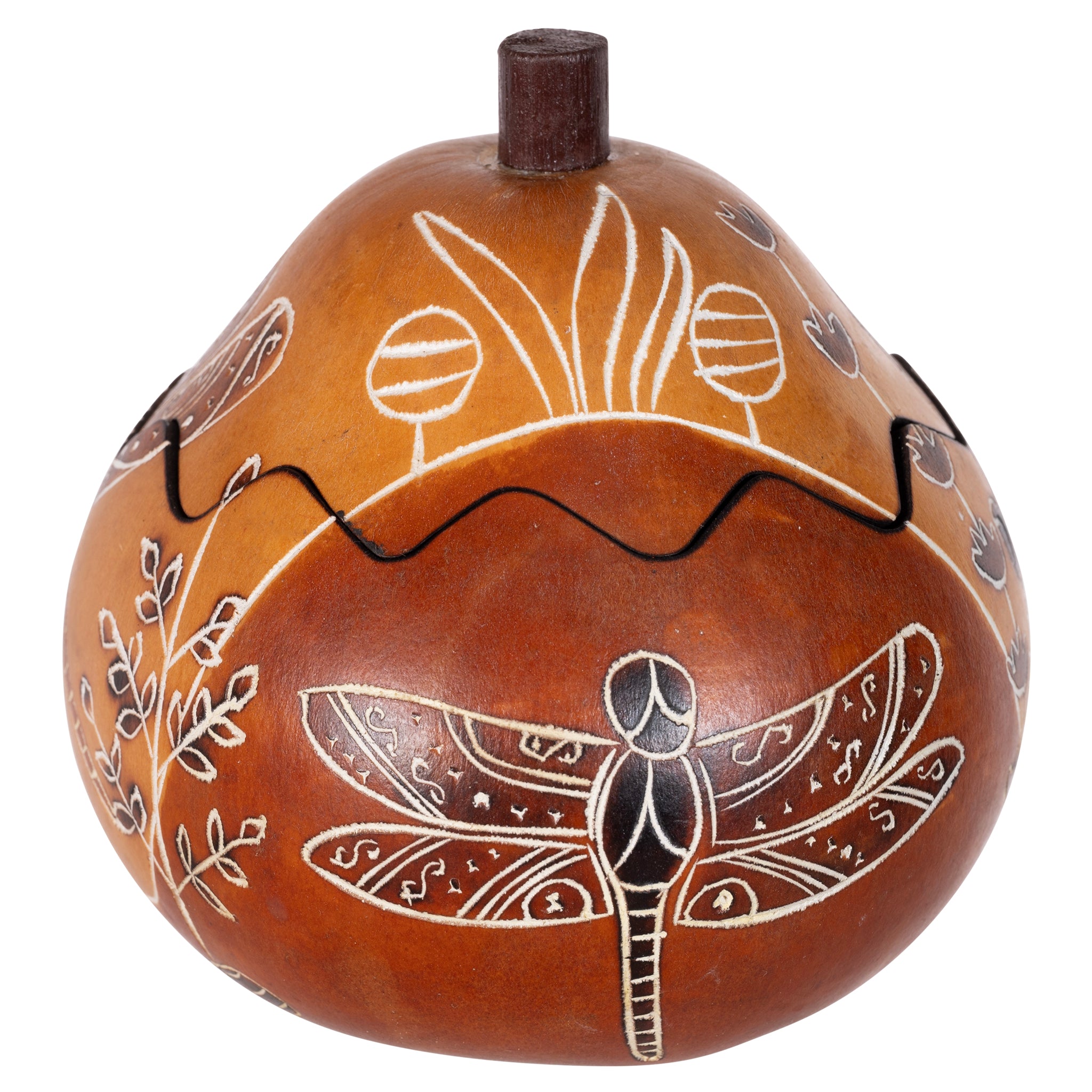 Dragonfly - Mini Gourd Box