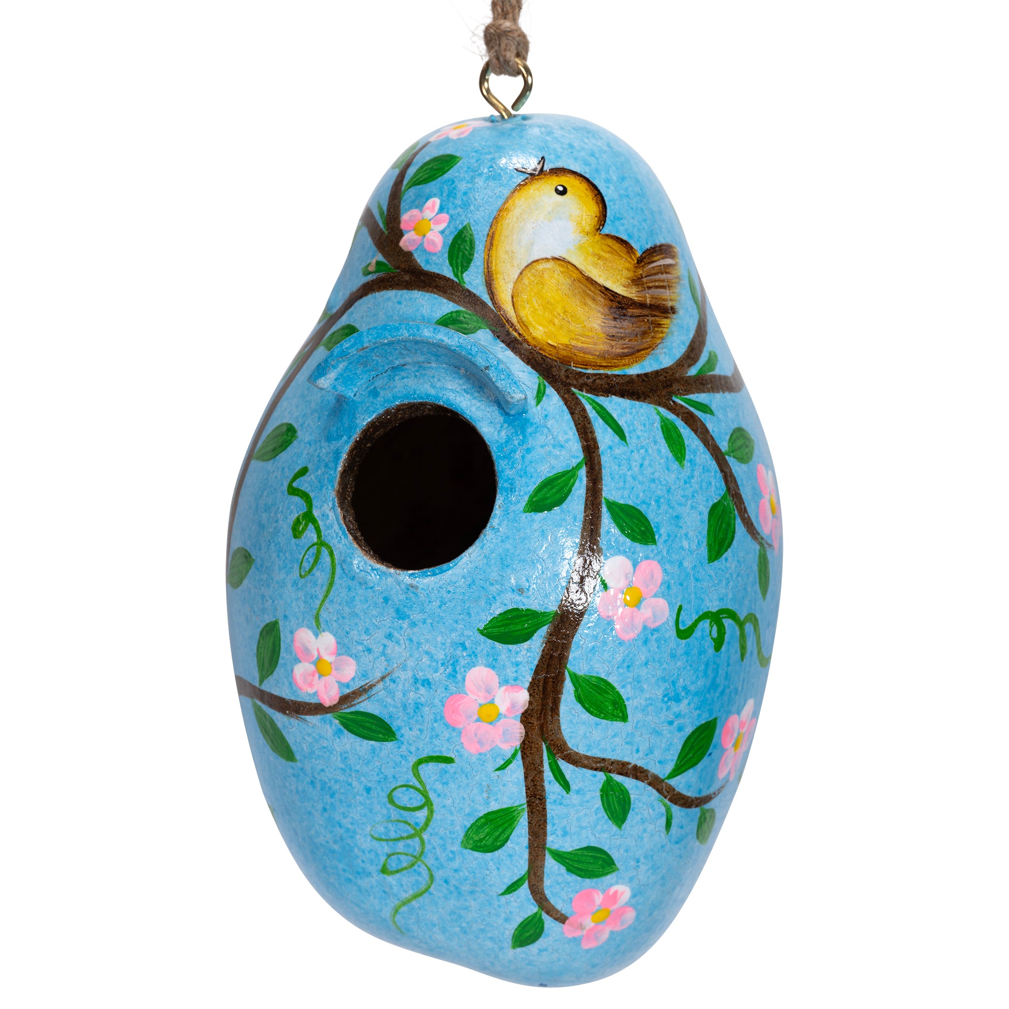 Bird - Painted Gourd Birdhouse