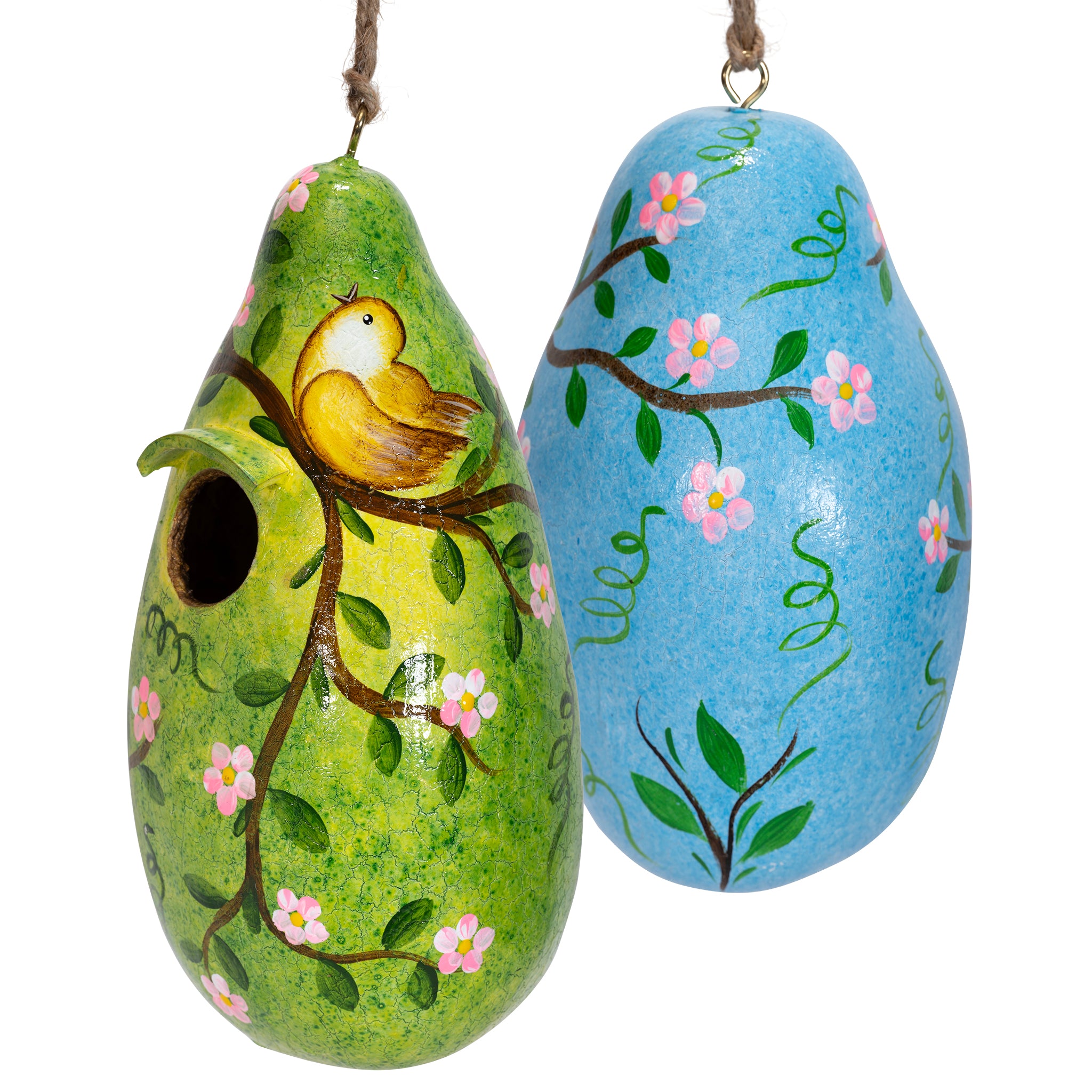 Bird - Painted Gourd Birdhouse