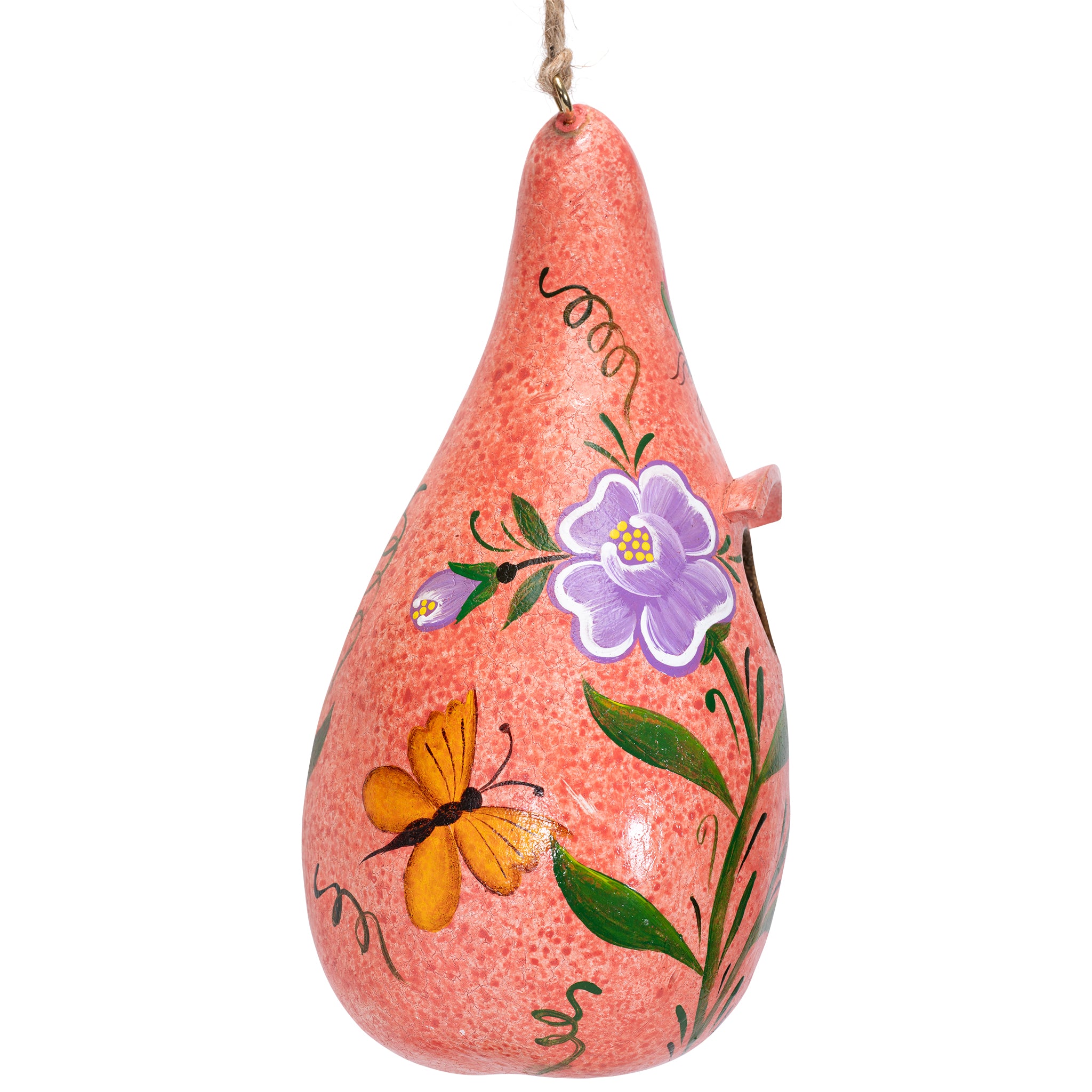 Bugs - Painted Gourd Birdhouse