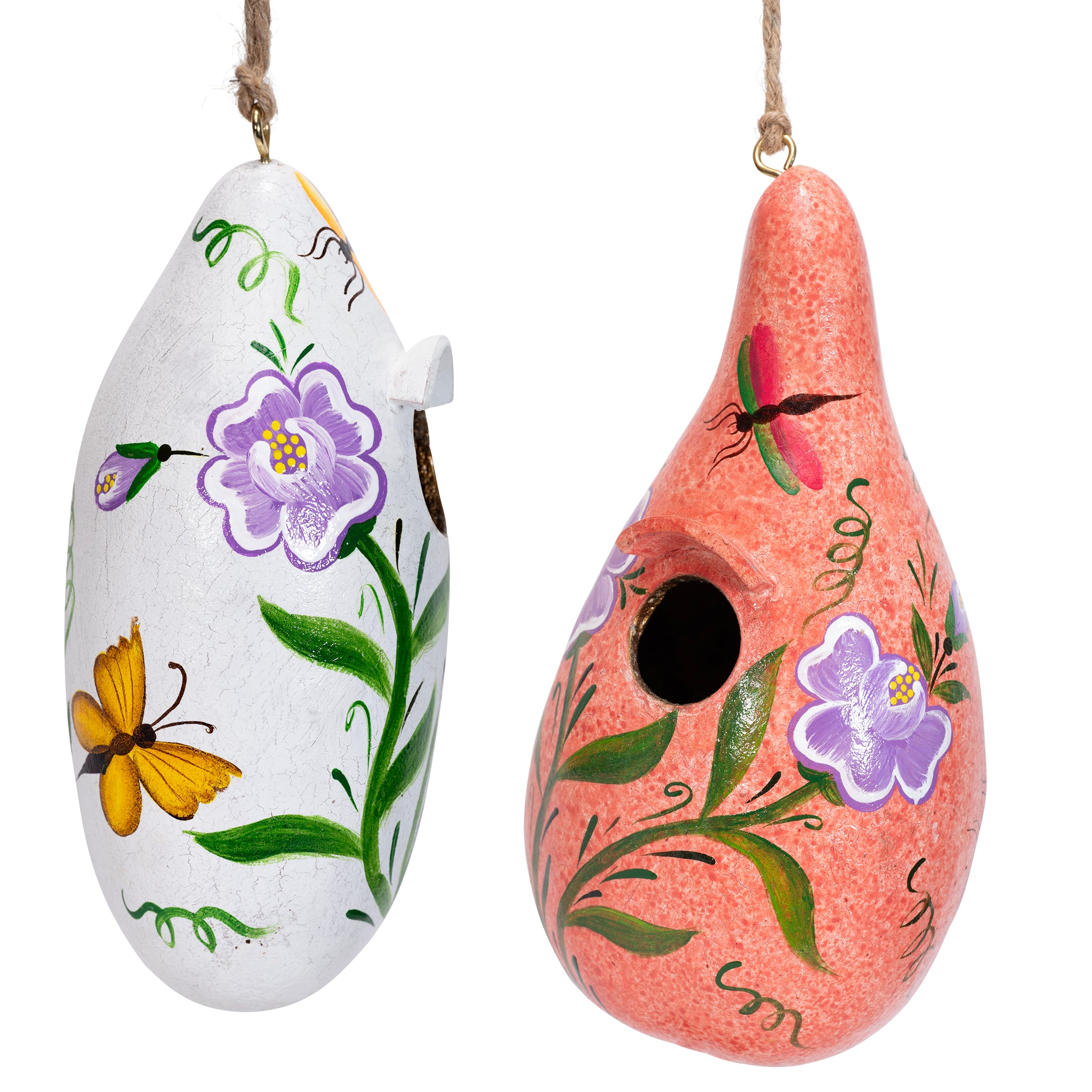 Bugs - Painted Gourd Birdhouse