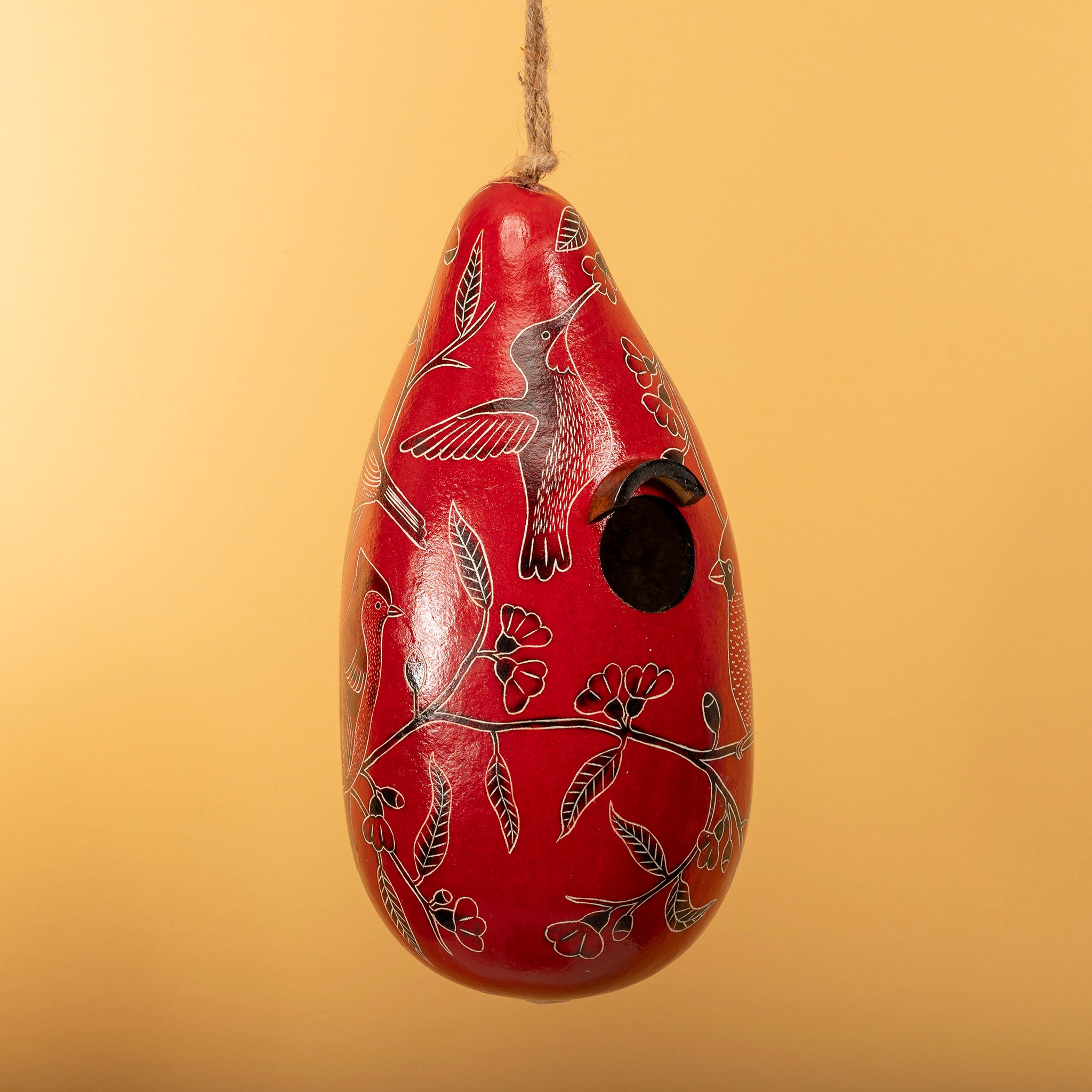 Backyard Birds - Gourd Birdhouse