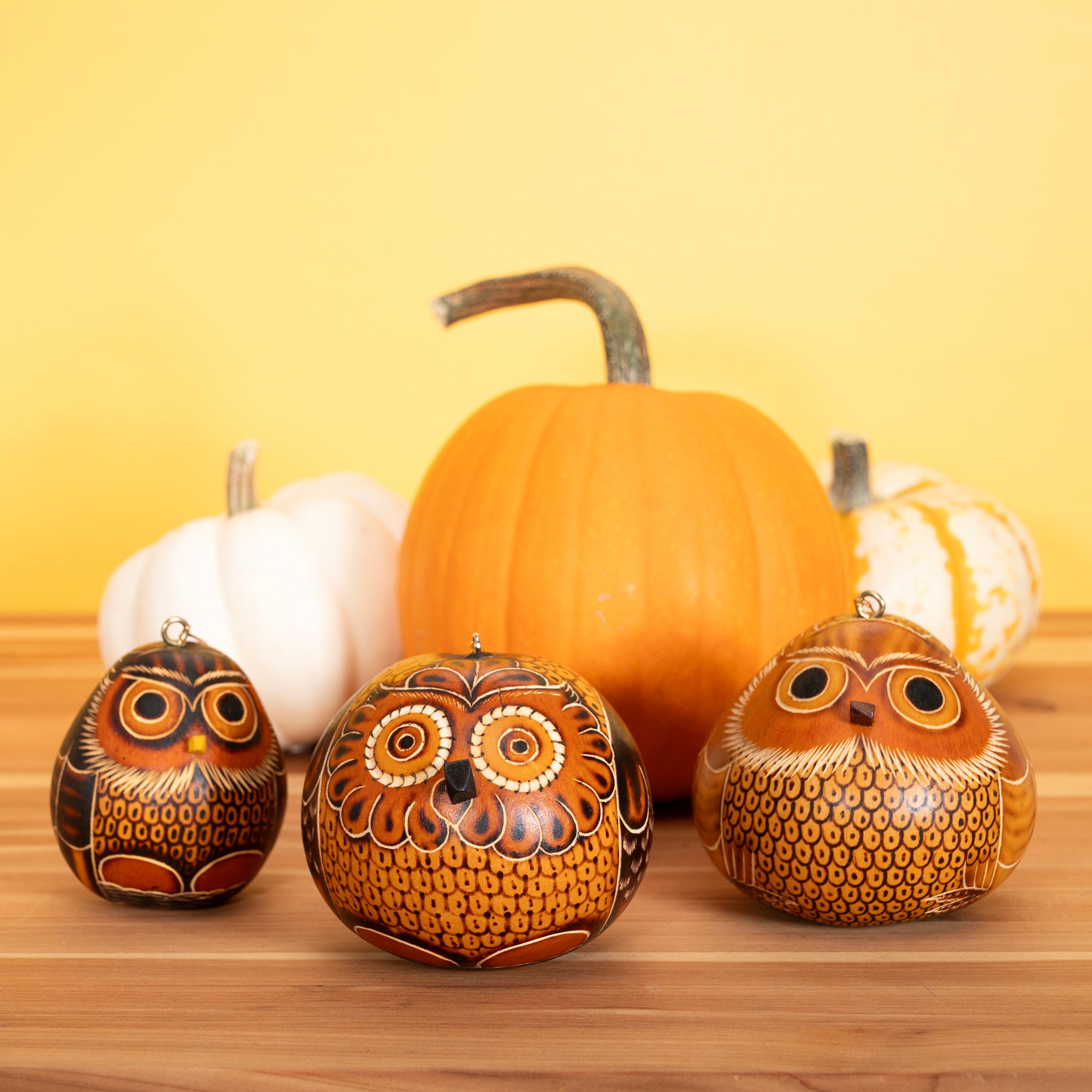 Owls Mix - Gourd Ornament (sold in 20s)