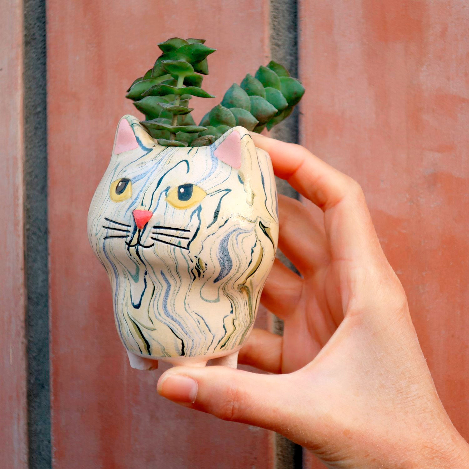Cat - Swirly Mini Ceramic Plant Pot - Assorted
