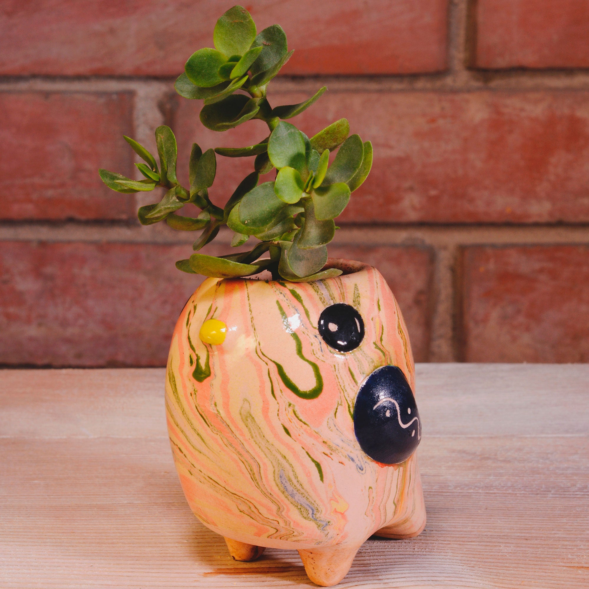 Bird Bobo - Swirly Mini Ceramic Plant Pot - Assorted