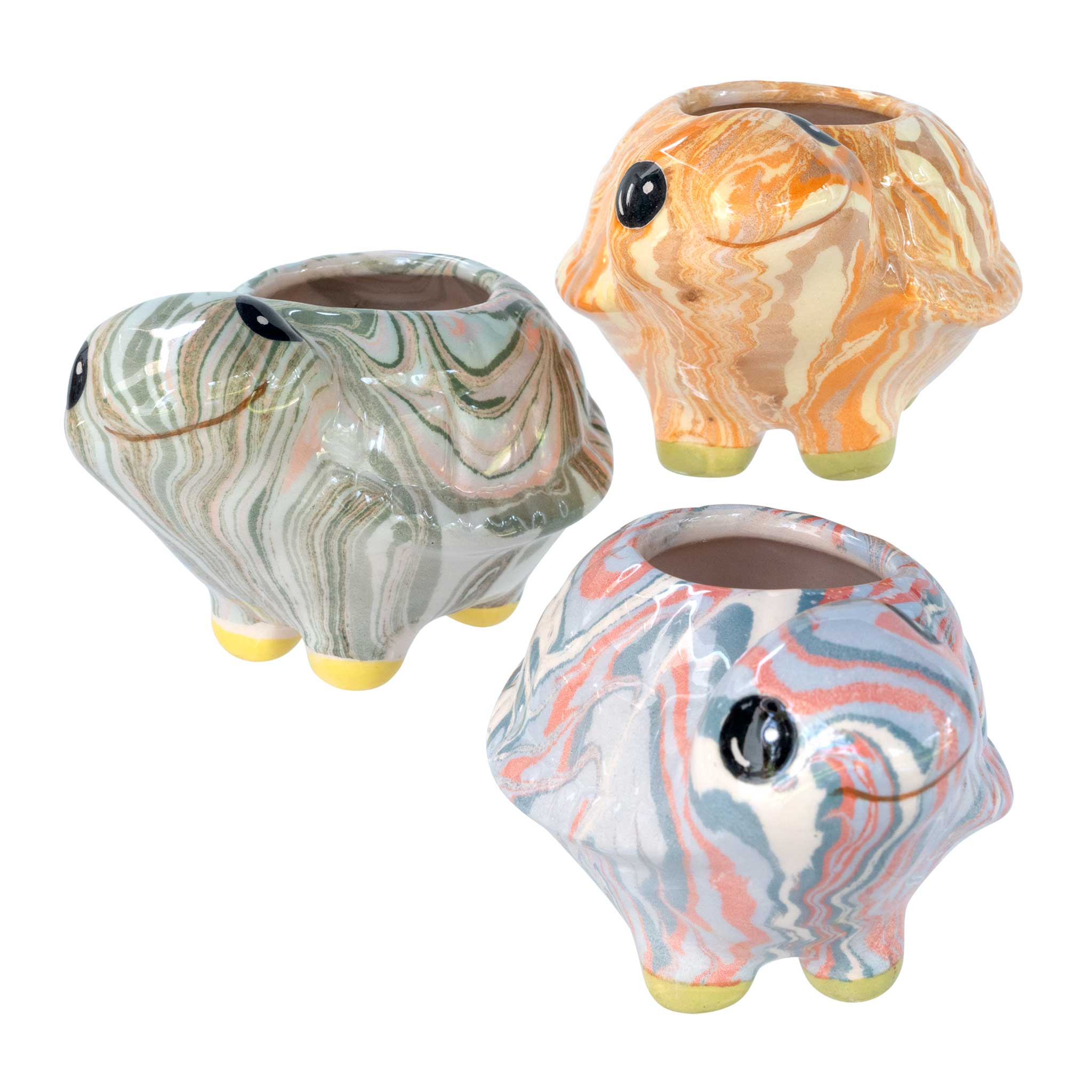 Turtle - Swirly Mini Ceramic Plant Pot - Assorted