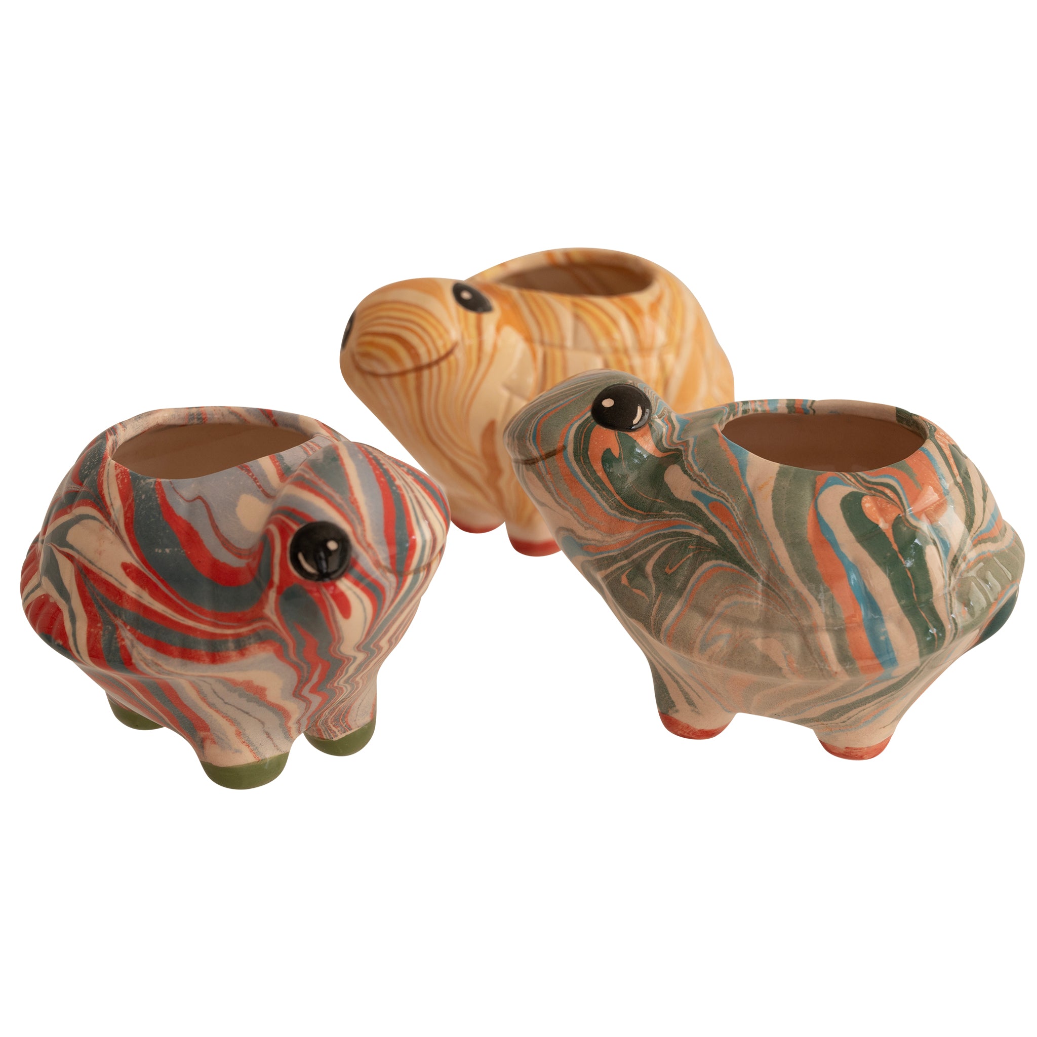 Turtle - Swirly Mini Ceramic Plant Pot - Assorted