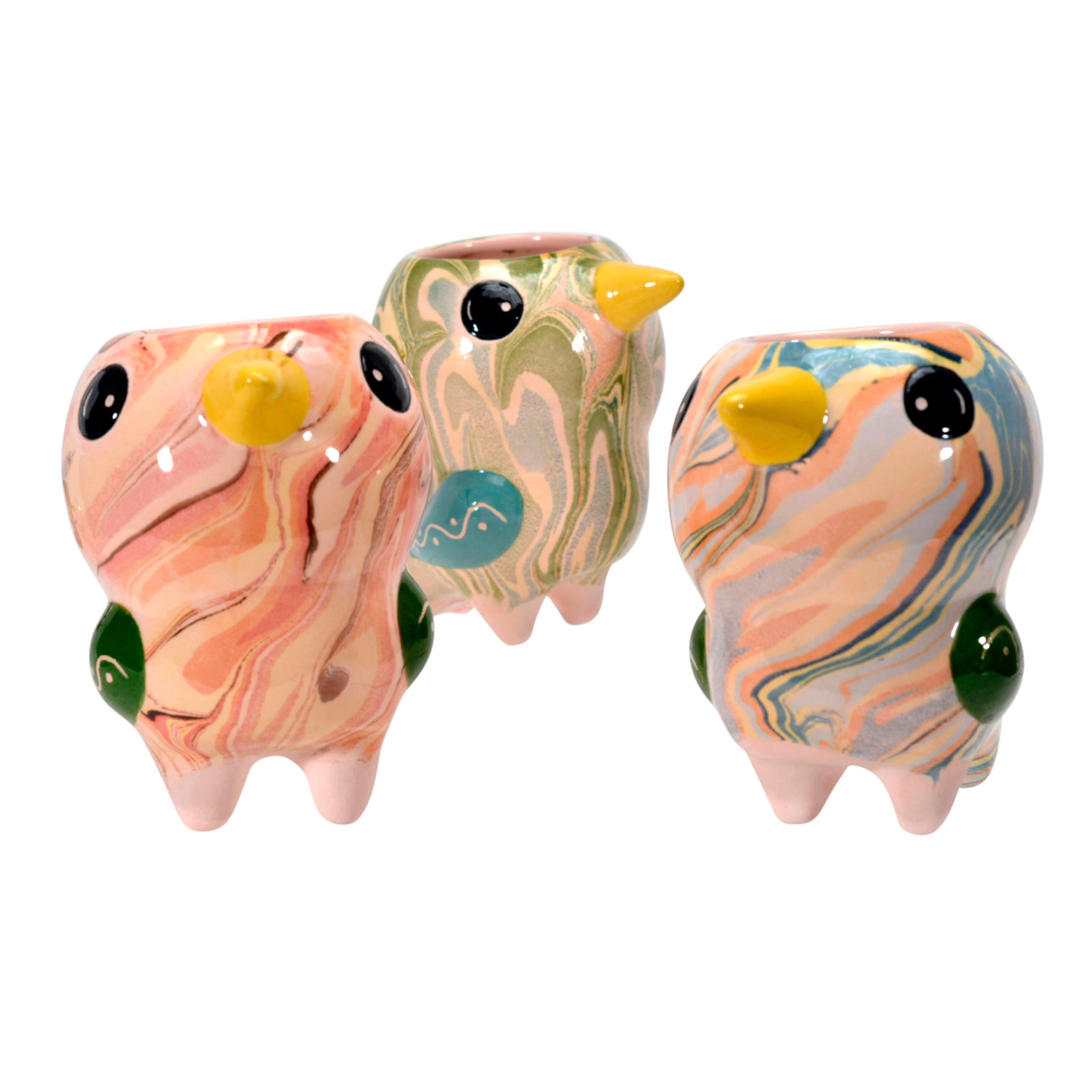 Bird Pio - Swirly Mini Ceramic Plant Pot - Assorted