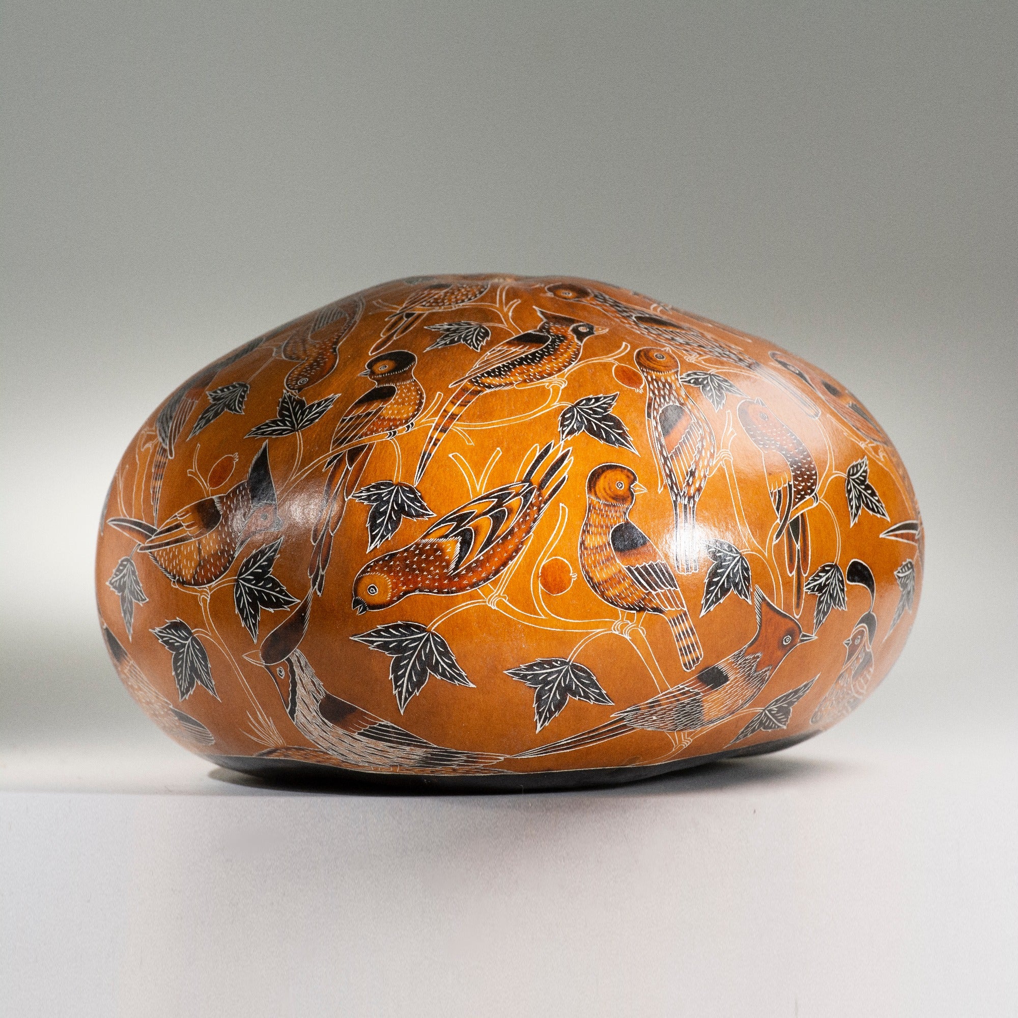 Birds of North America - finely carved gourd art
