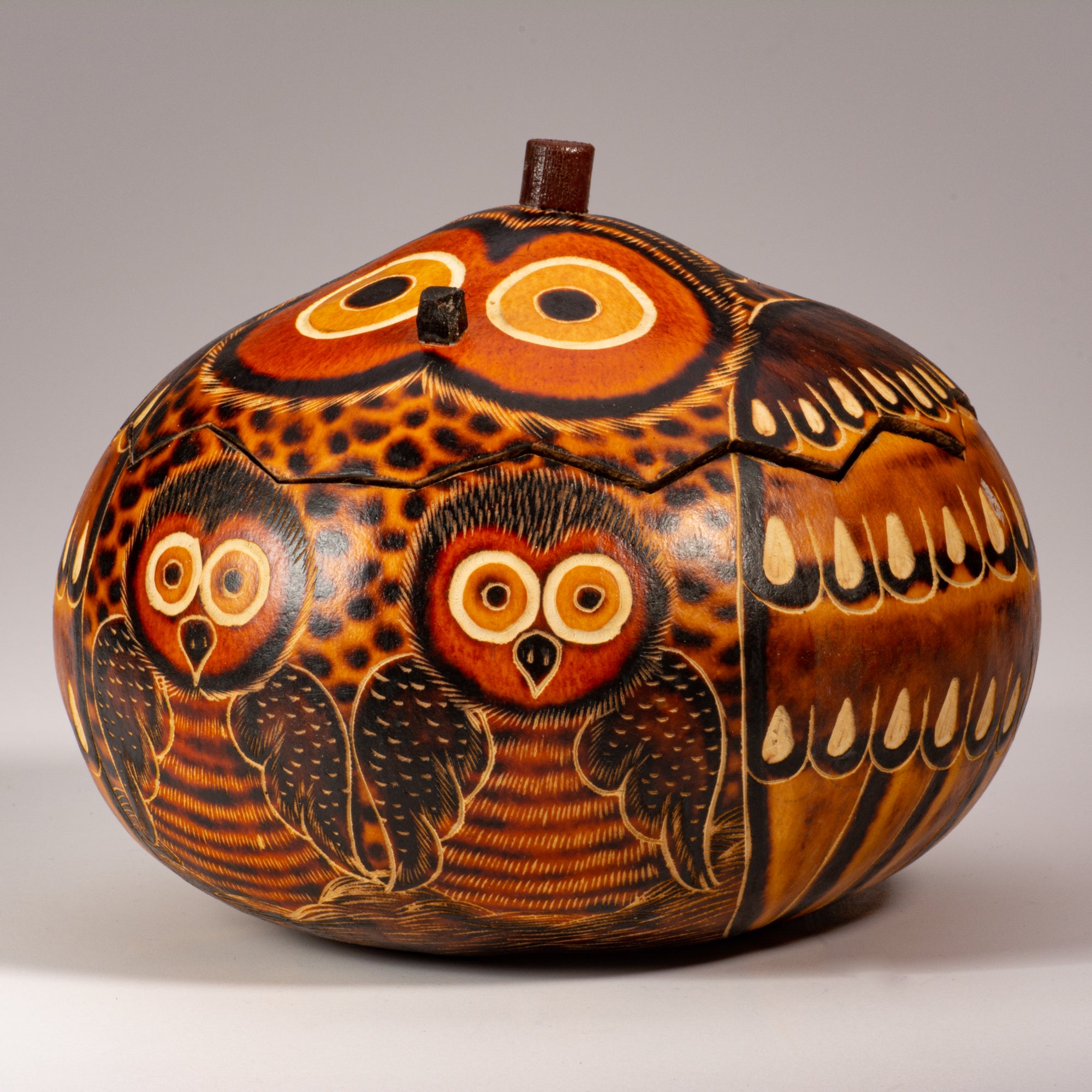 Owl Mom and Chick - Medium Carved Gourd Box