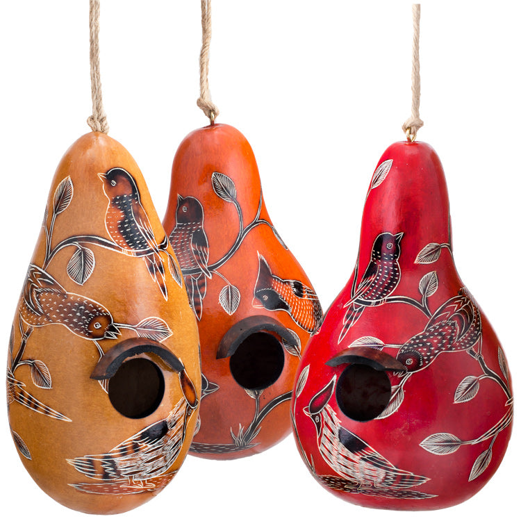 Birds of North America - Gourd Bird House