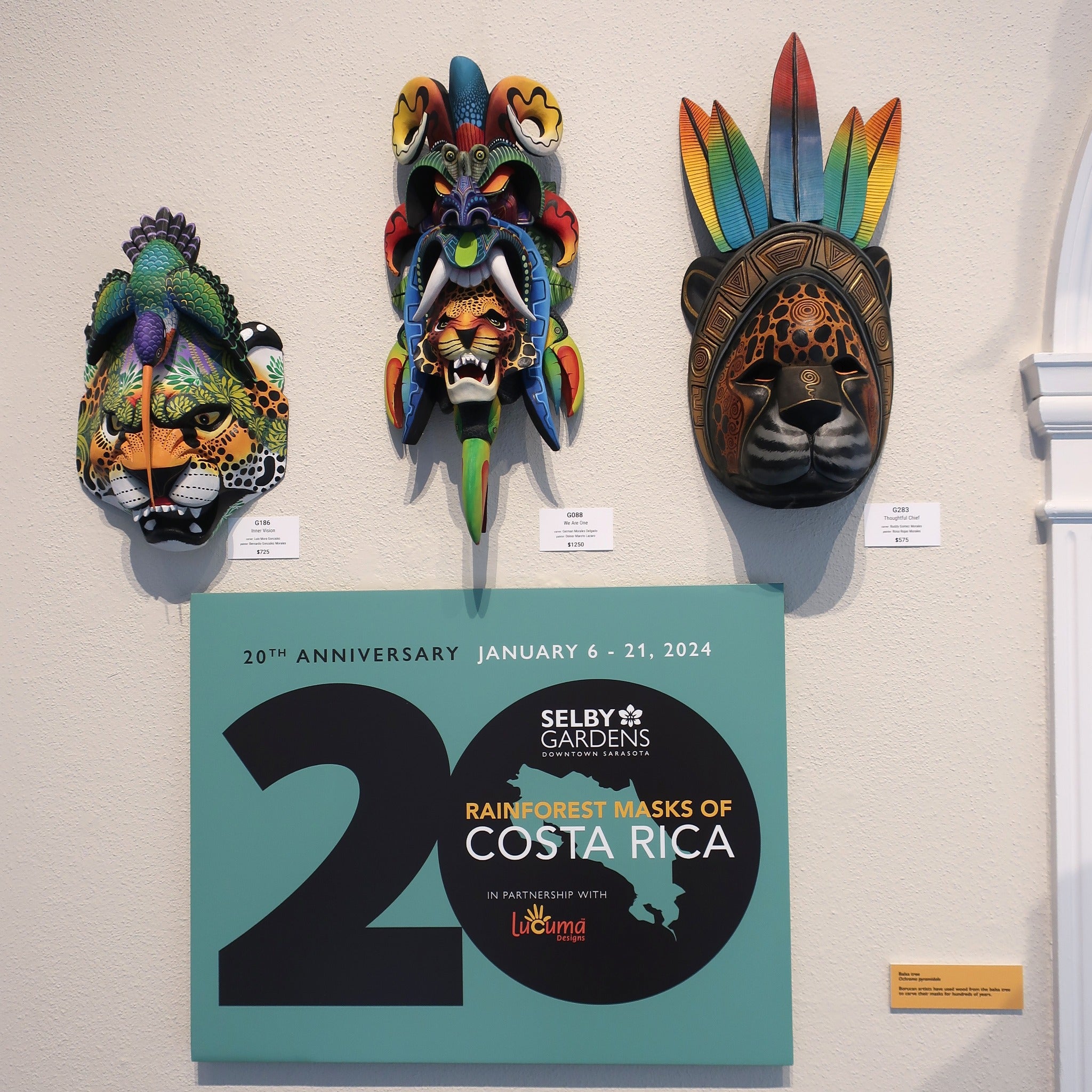 That's a wrap!  The 20th Annual Rainforest Masks exhibit showcasing Borucan art closed with happy visitors and great sales.