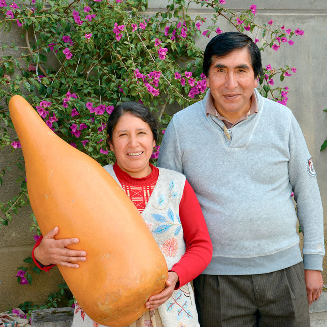Raquel Sanabria García: Growing with Gourd Art and Fair Trade