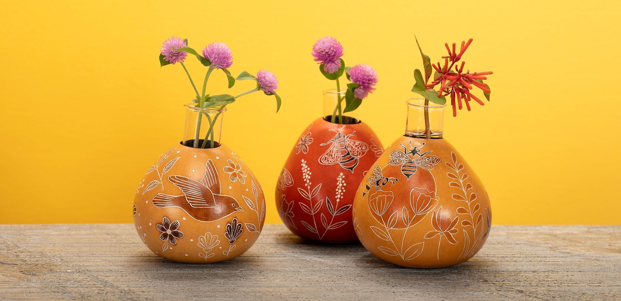 plant decor