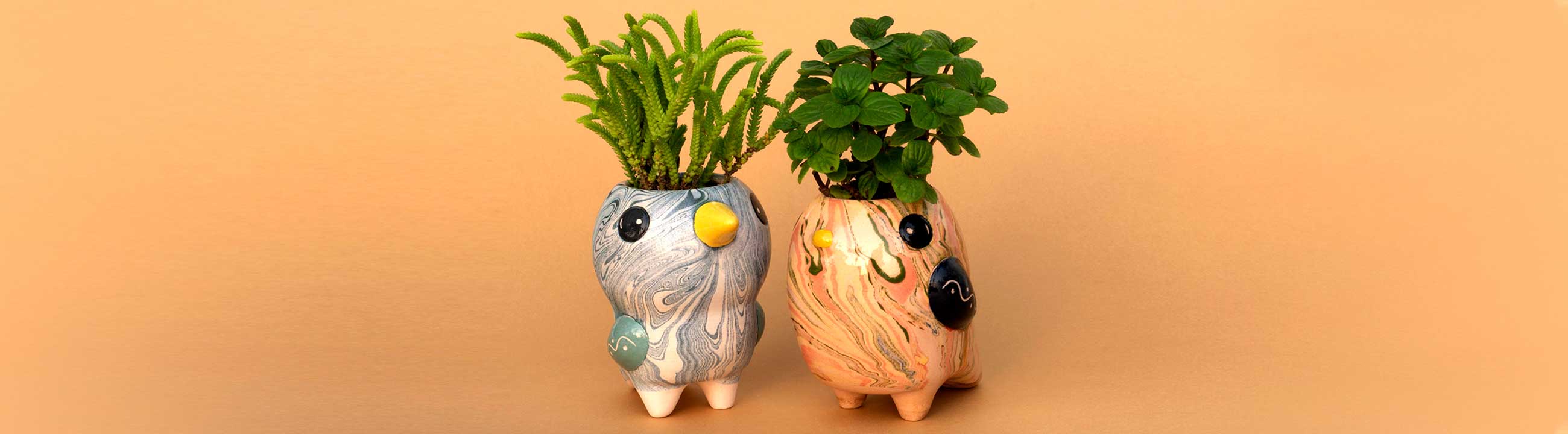 plant pots