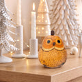 Blonde Owl Mini Box