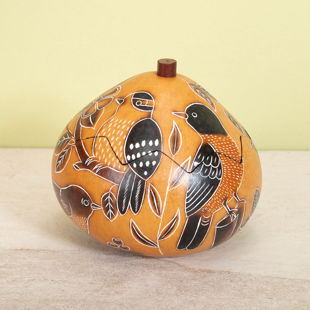 Backyard Birds Med Box