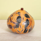 Backyard Birds Med Box