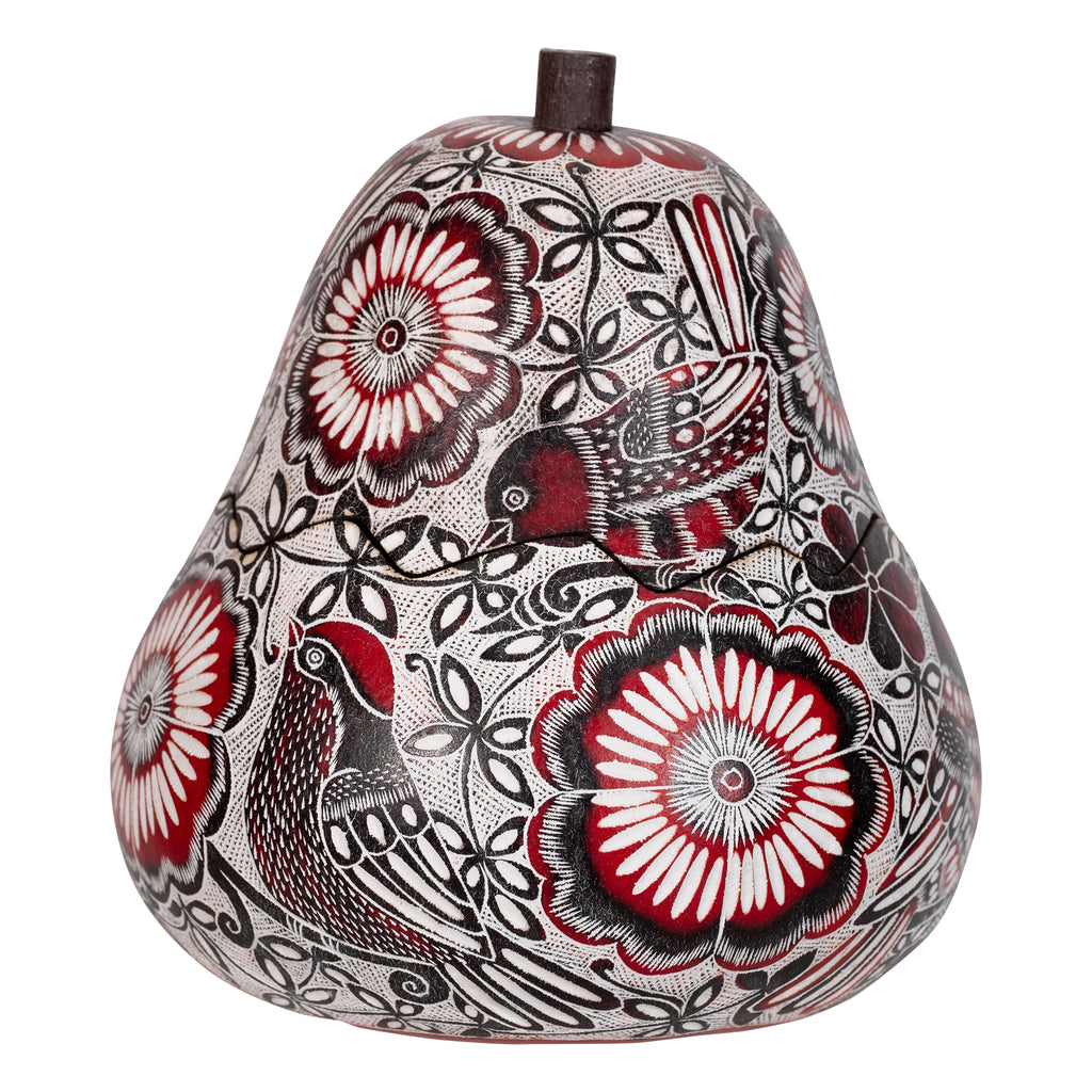 Lace Birds Med Box
