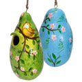 Bird Painted Birdhouse