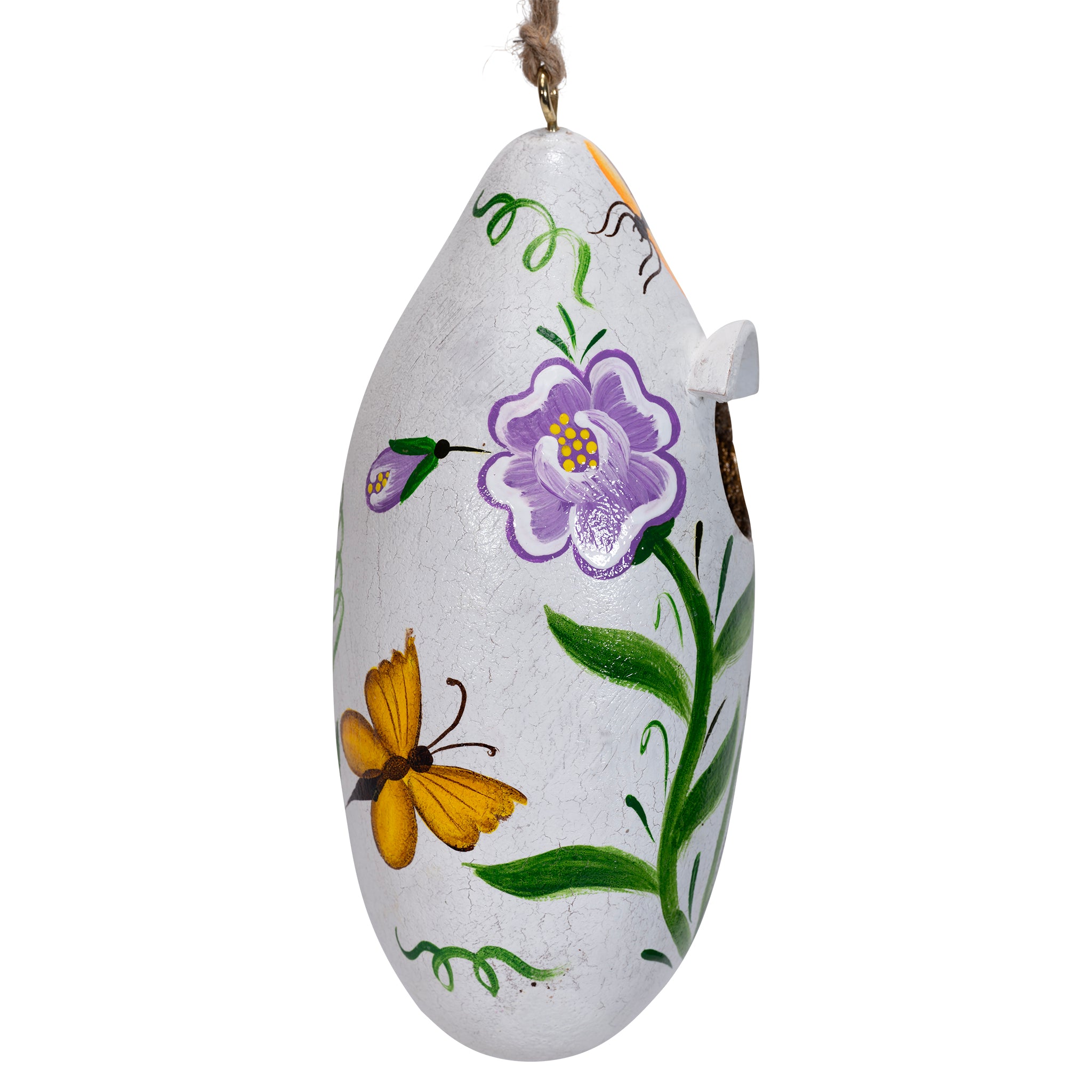 Bugs - Painted Gourd Birdhouse