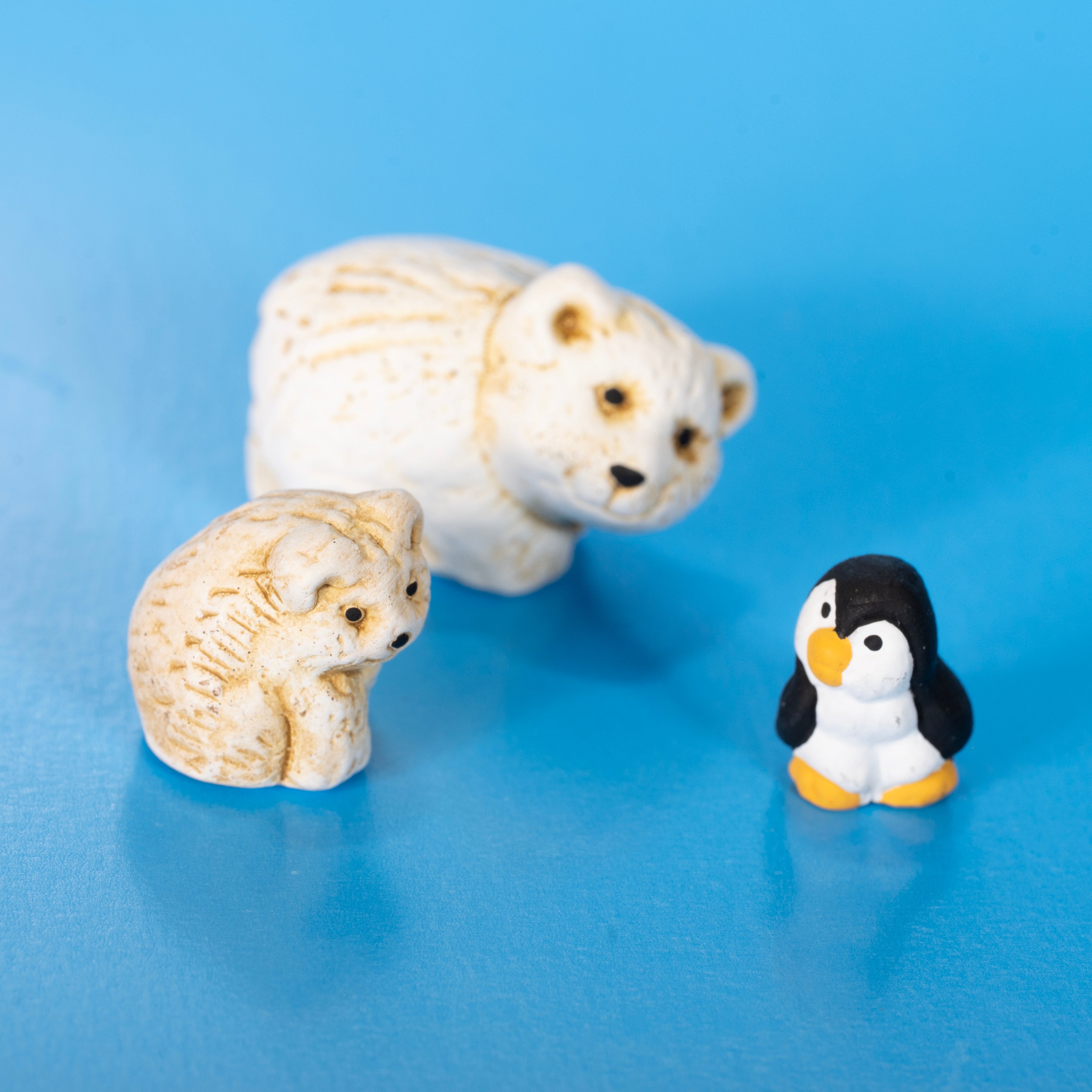 Polar - Mini