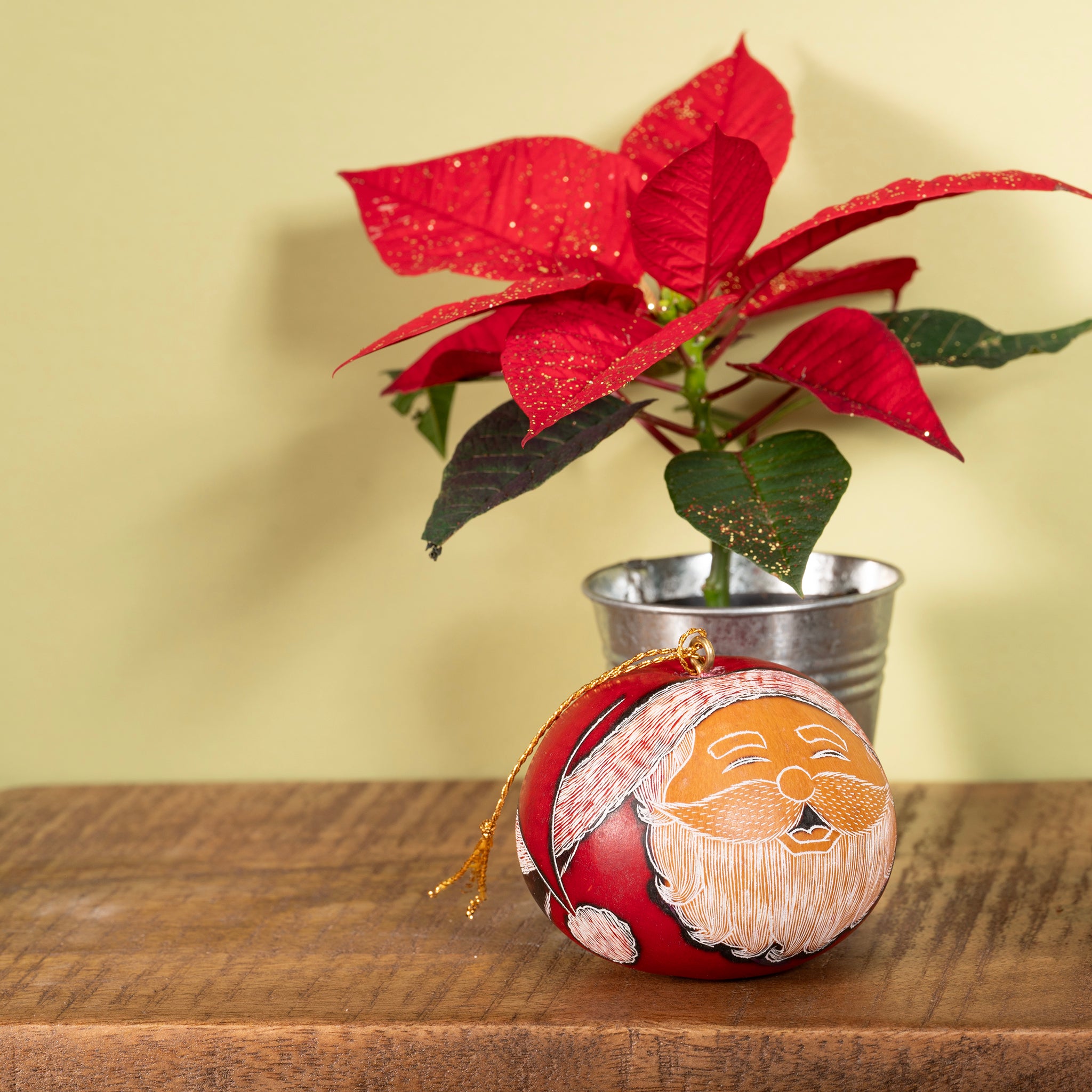 Santa Smile  - Mini Gourd Ornament