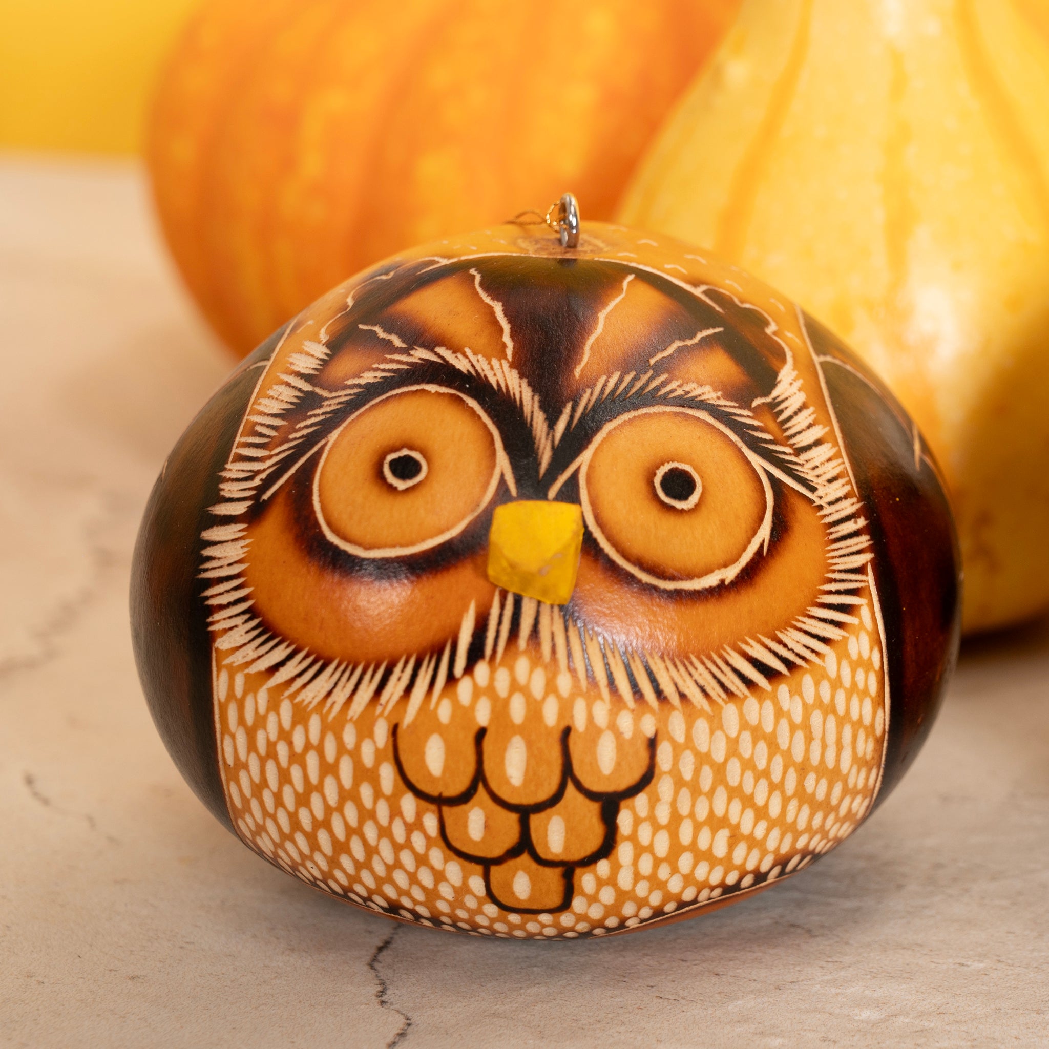 Spotted Owl