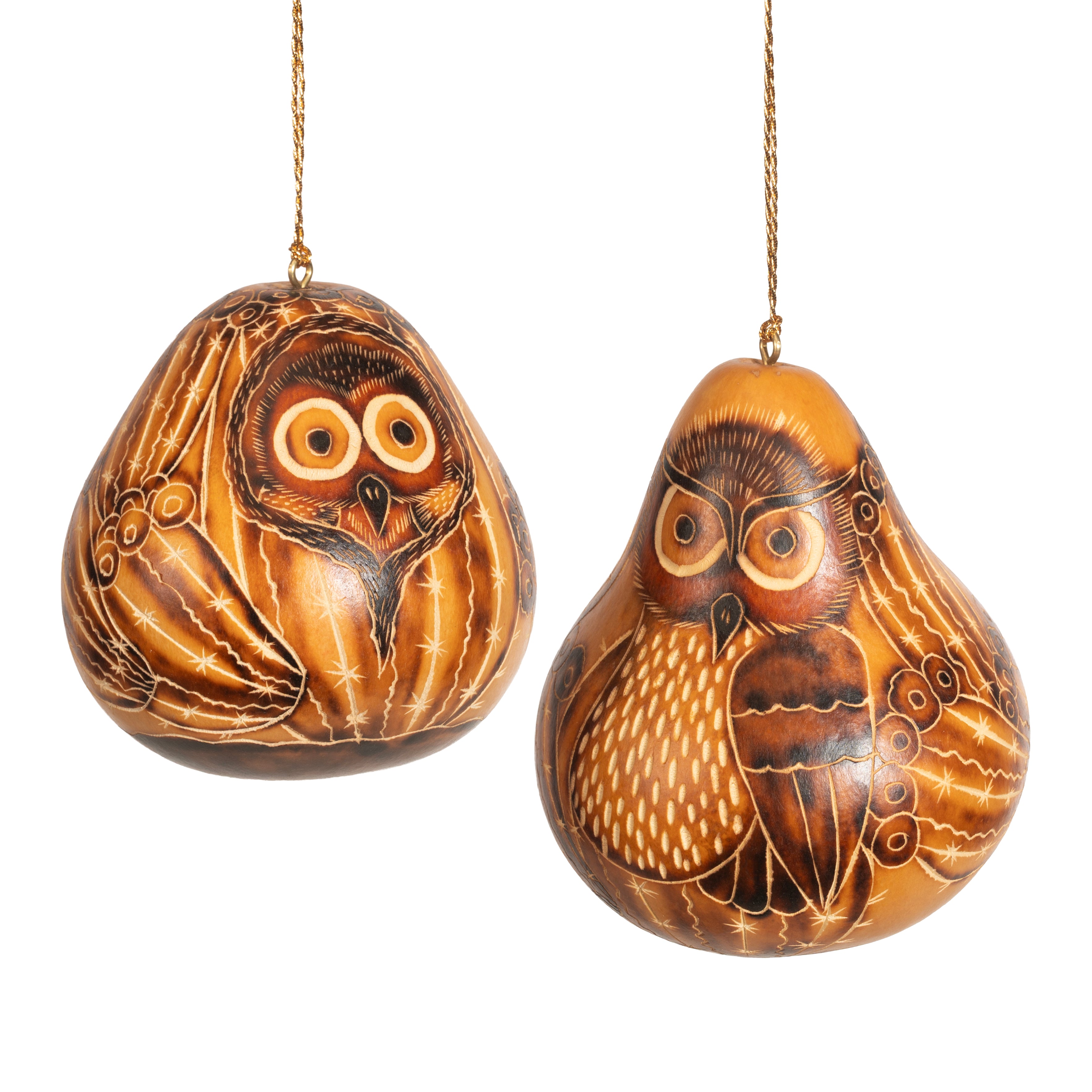 Cactus Owl - Gourd Ornament