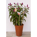 Bird - Marbled Plant Stake