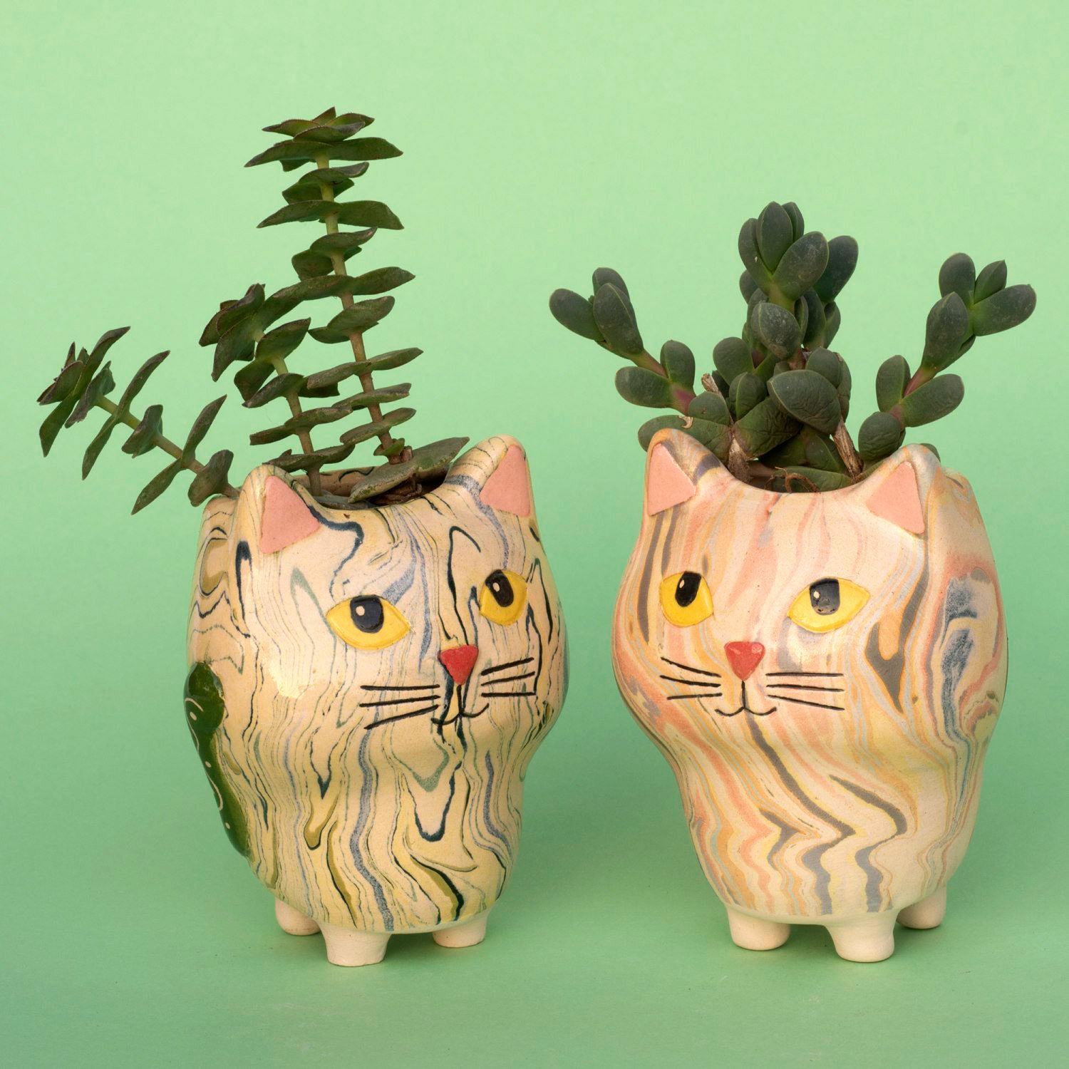 Cat - Swirly Mini Ceramic Plant Pot - Assorted
