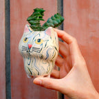 Cat - Plant Pot