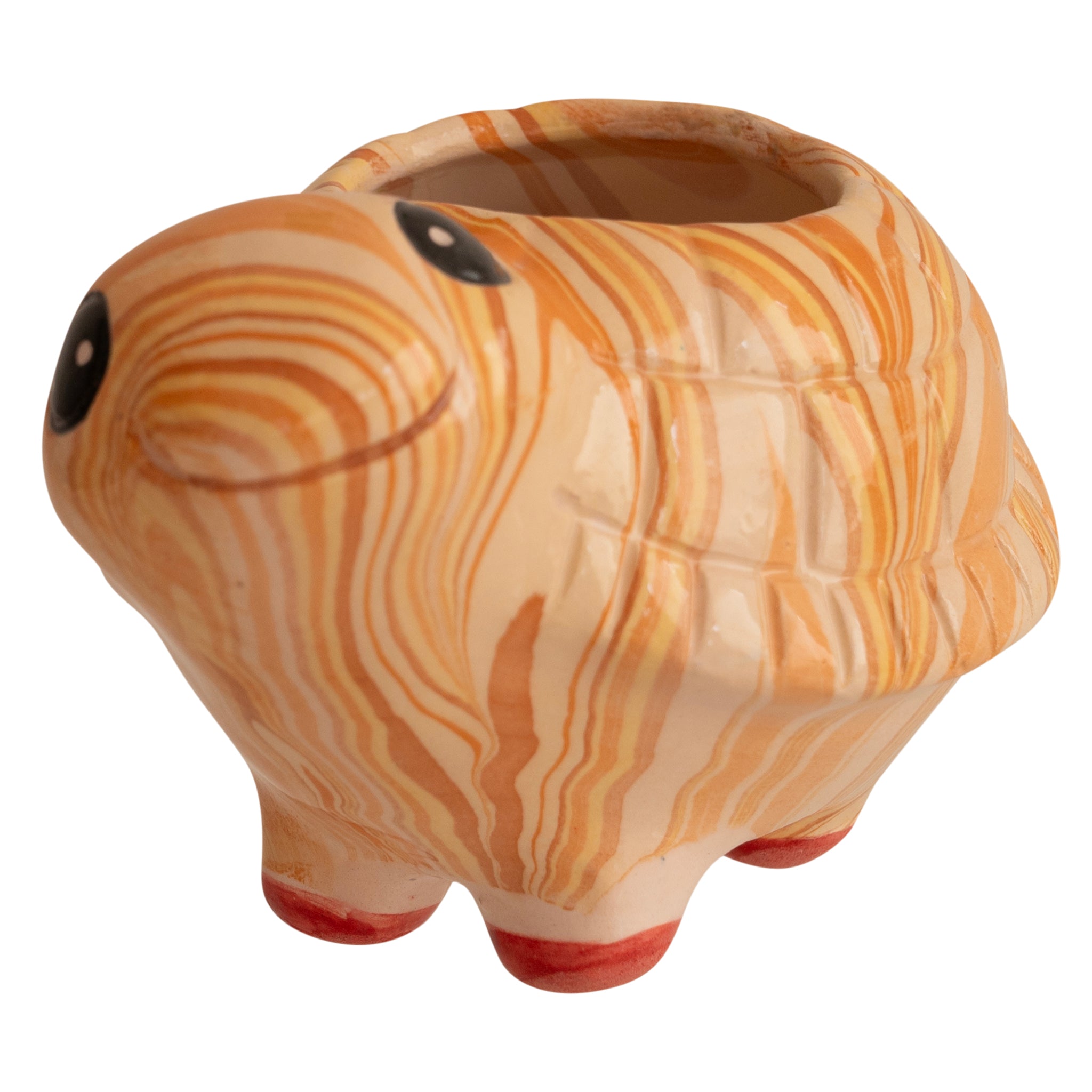 Turtle - Swirly Mini Ceramic Plant Pot - Assorted