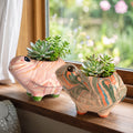 Turtle - Plant Pot