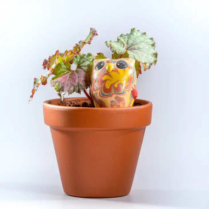 Owl Plant Dripper - Small