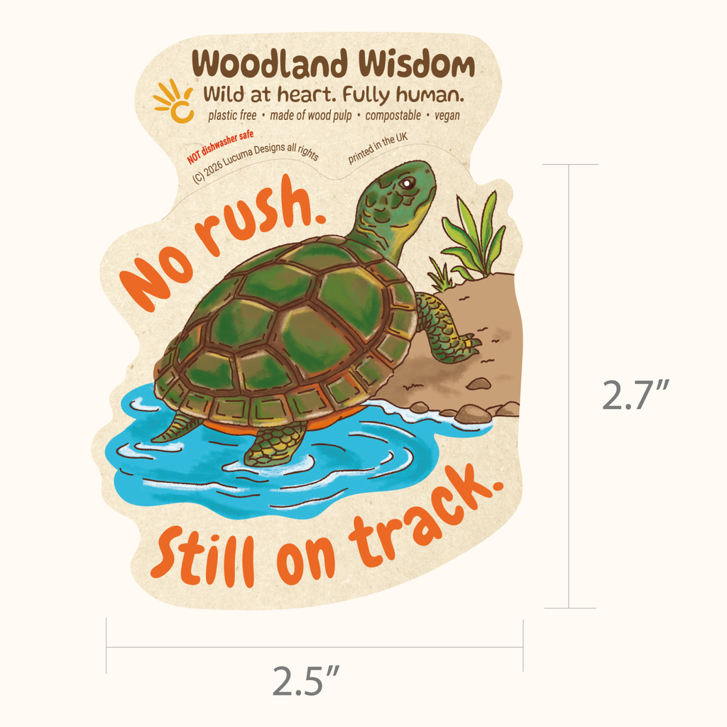 Turtle Sticker Plastic Free