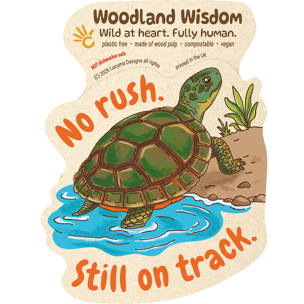 Turtle Sticker Plastic Free