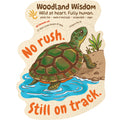 Turtle Sticker Plastic Free