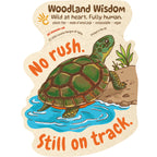 Turtle Sticker Plastic Free