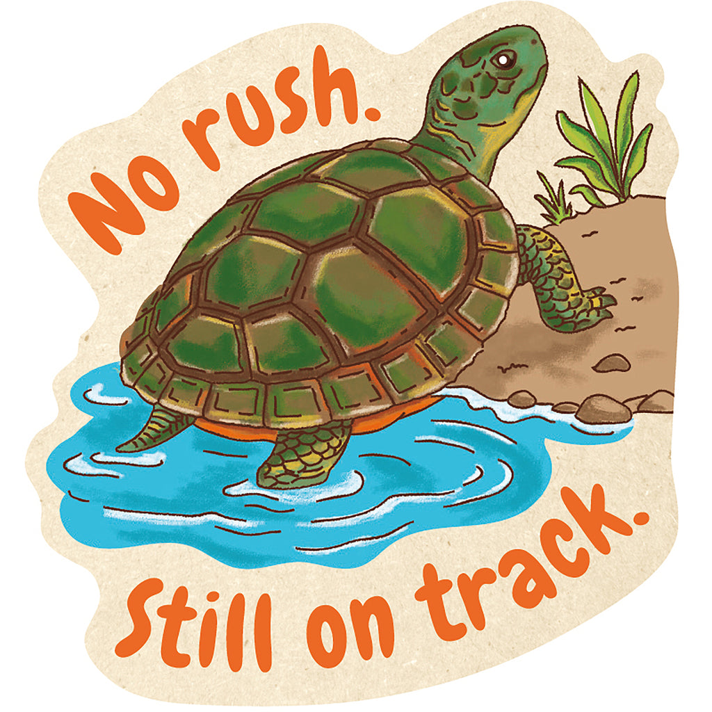 Turtle Sticker Plastic Free
