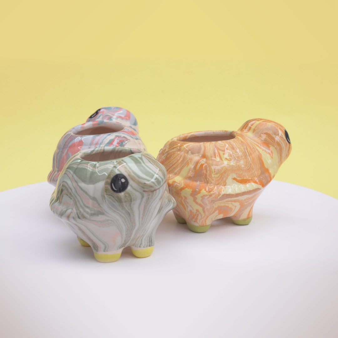 Turtle - Plant Pot