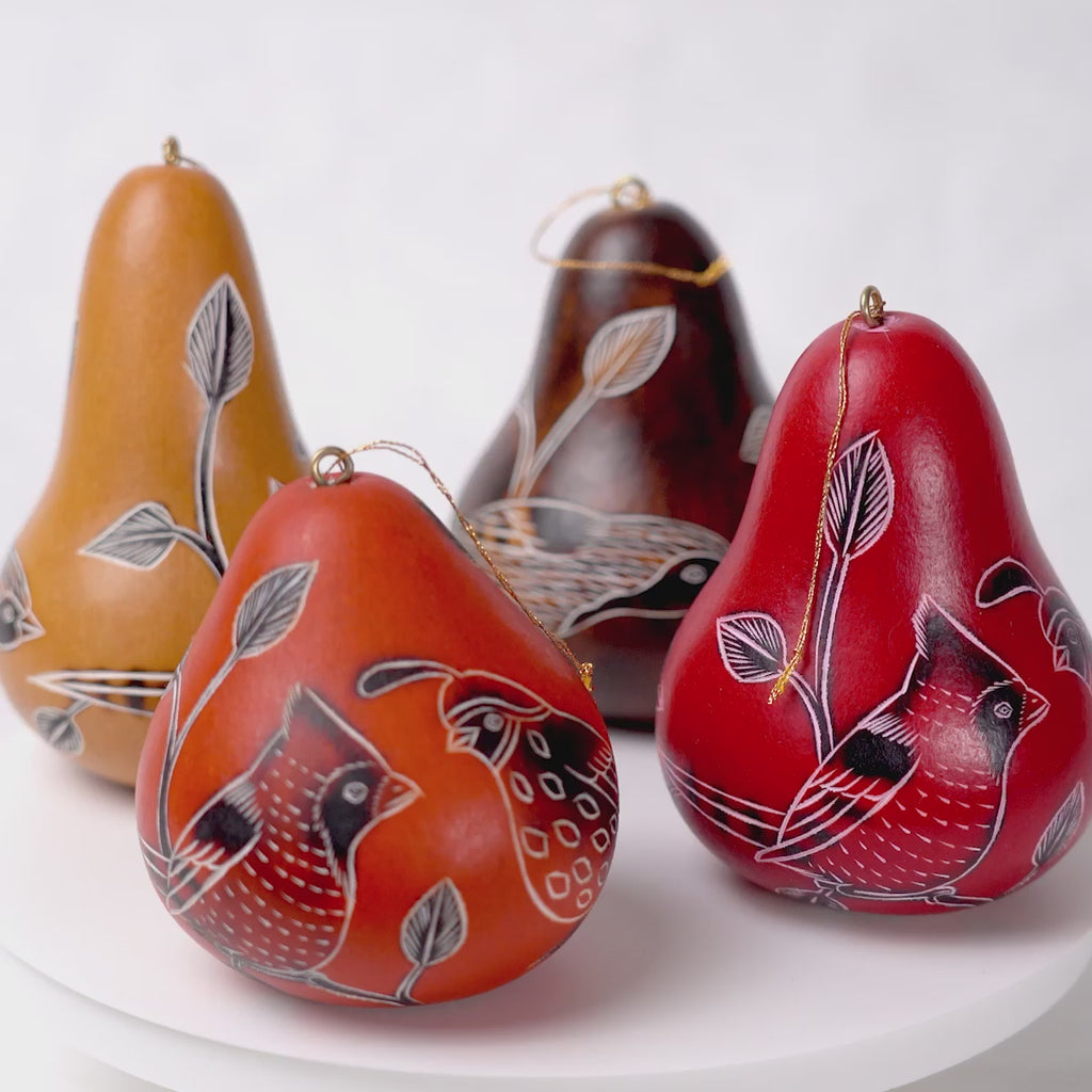 Birds of North America