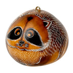 Raccoon