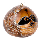 Raccoon