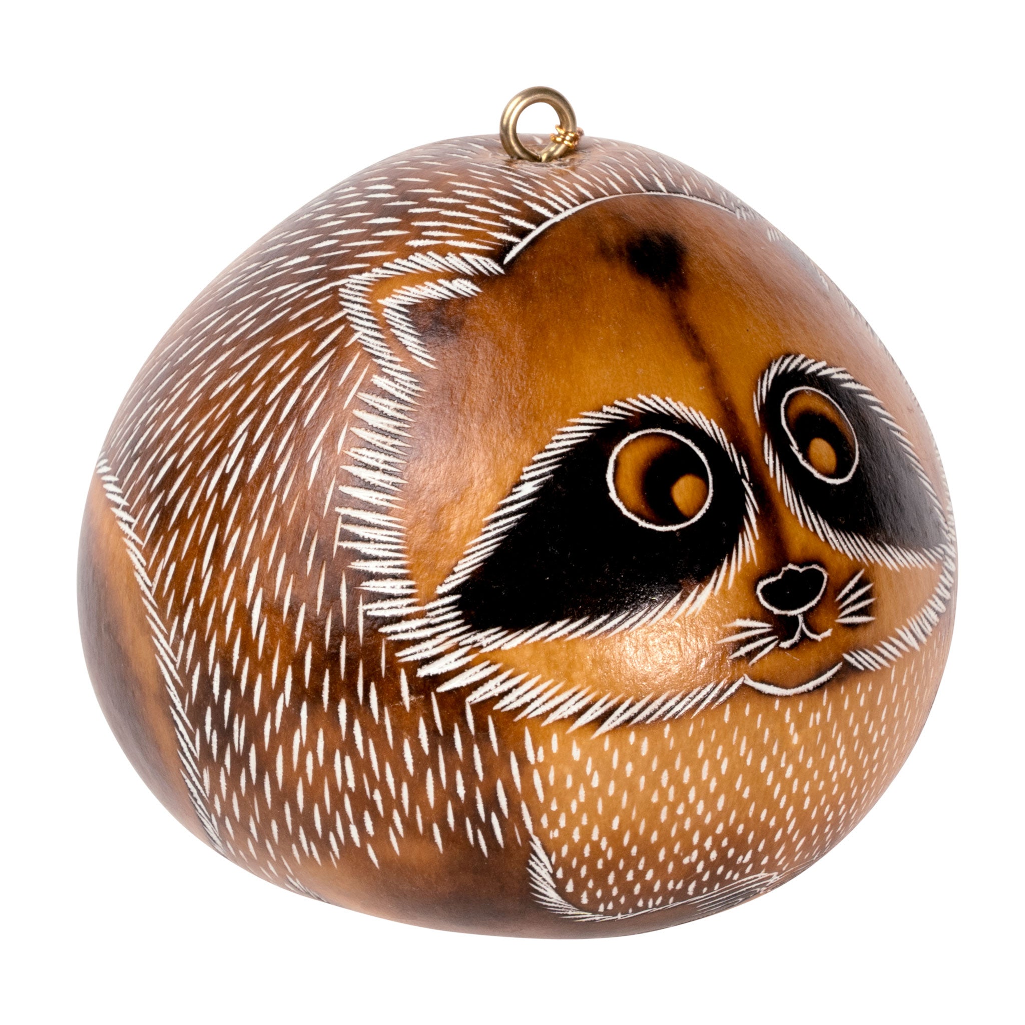Raccoon