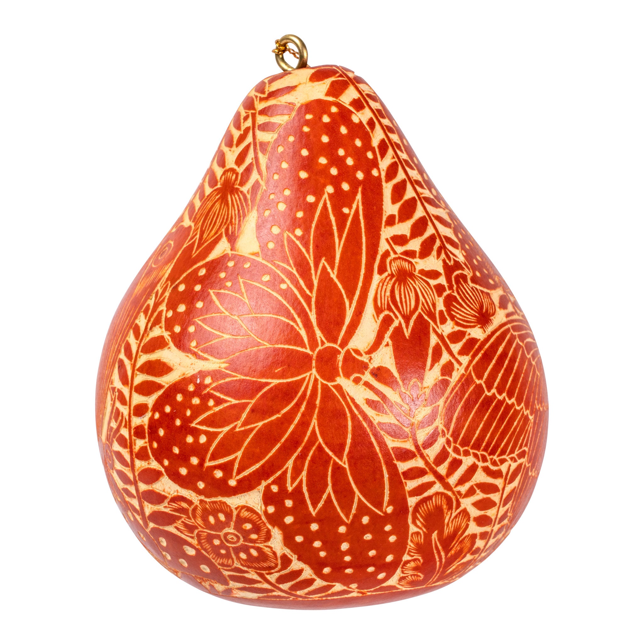 Tropical Butterflies