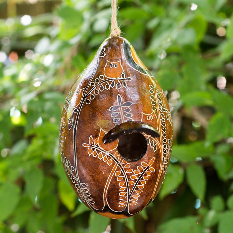 Peru 2024 Hand Carved Owl Gourd Bird House