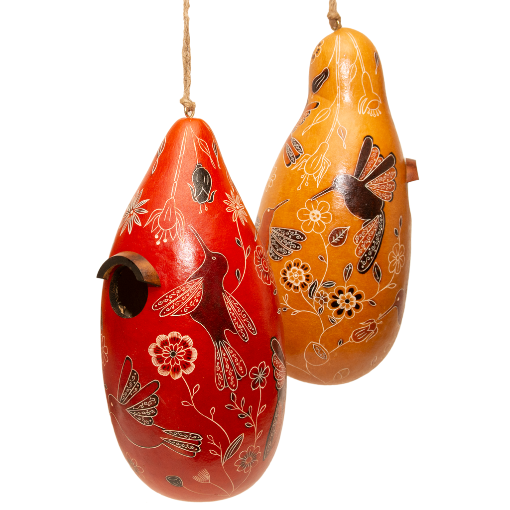Hummingbird Doodle - Gourd Birdhouse