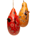 Hummingbird Doodle - Gourd Birdhouse