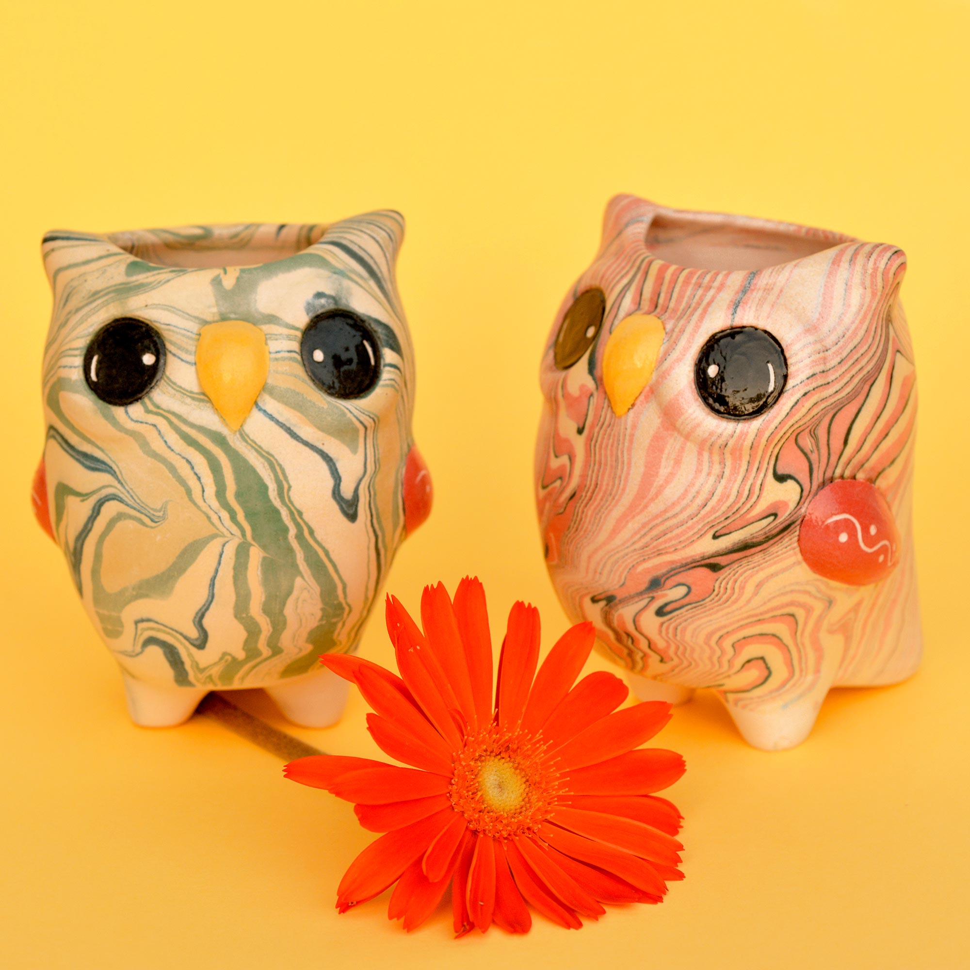 Owl - Swirly Ceramic Plant Pot - Mini - Assorted